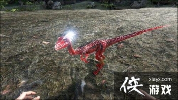 ������������������ôѱ���� ������������������ʲô��