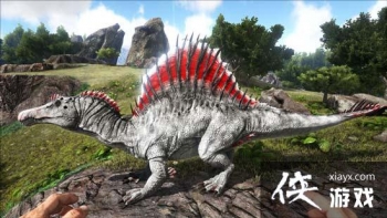 ������������ֻ��漬������ôѱ���� ��������������μ�������ʲô��