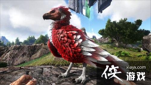 方舟生存进化阿根廷巨鹰怎么驯服? 方舟生存进化阿根廷巨鹰在哪? 方舟生存进化阿根廷巨鹰怎么驯服? 方舟生存进化阿根廷巨鹰在哪?