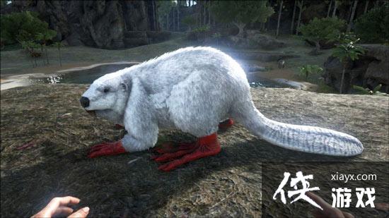 ������������ֻ�������ʲô��������������ֻ��������ôѱ����