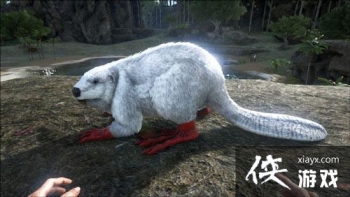 ������������ֻ�������ʲô��������������ֻ��������ôѱ����