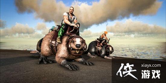 ������������ֻ�������ʲô��������������ֻ��������ôѱ����