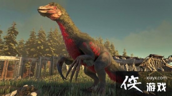 ������������ֻ�����������ʲô���ϣ� �����������������������ôѱ����