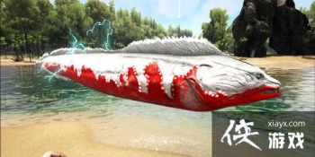 �����������������ôѱ���� ������������������ģ�