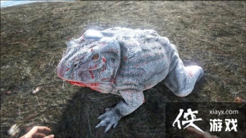 ������������ֻ���ħ���ܳ�ʲô��������������ֻ���ħ������ôѱ����