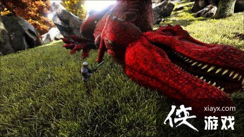 �������������Ӣ����ʲô�� ���۾�Ӣ������ѱ����