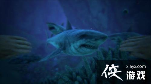 ������������ֻ���������ô�ɼ��� �����������������������ࣿ