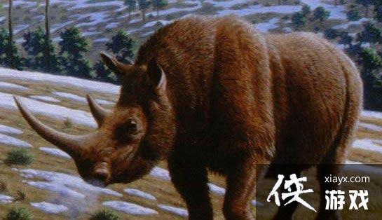 ������������ֻ���é����ô�ɼ��� ���������������é�ݲɼ�����