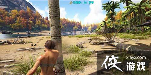 ������������ֻ���é����ô�ɼ��� ���������������é�ݲɼ�����