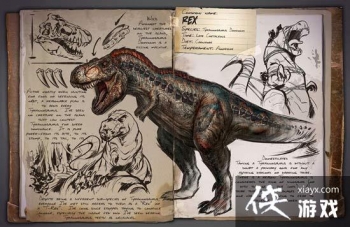 ������������ֻ����������ôѱ���� ��������������ΰ���������