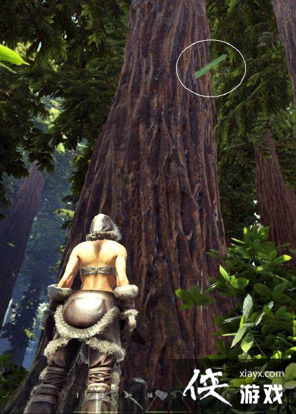 方舟生存进化手机版树脂怎么获得?方舟生存进化手游树脂采集方法 方舟生存进化手机版树脂怎么获得?方舟生存进化手游树脂采集方法