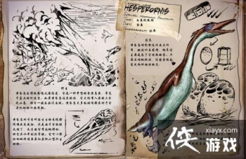 ������������ֻ���ƻ������ô�ã� ��������������λƻ���𵰻�ȡ����