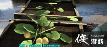 ������������ֻ���ũ�Ｐũ������ֲ����