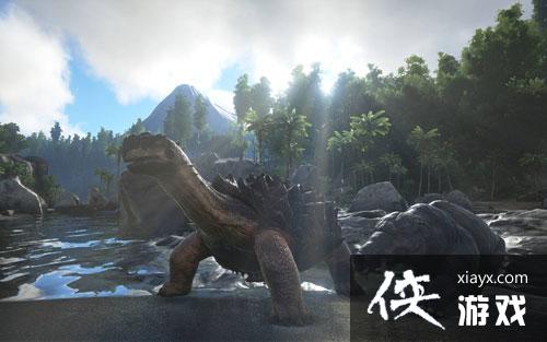 ��������������ε�ˮ̼���ʲô�� ��������������ε�ˮ̼����ô�ã�