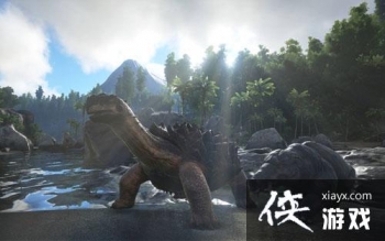 ��������������ε�ˮ̼���ʲô�� ��������������ε�ˮ̼����ô�ã�