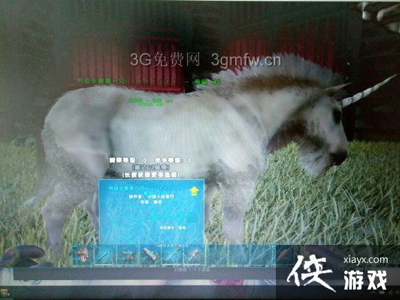 ���������������ôѵ��