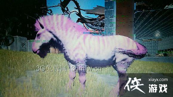 ���������������ôѵ��