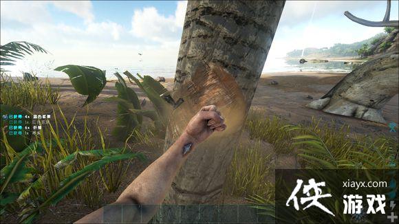 方舟生存进化孤岛独狼1~5级进化攻略 方舟生存进化孤岛独狼1~5级进化攻略