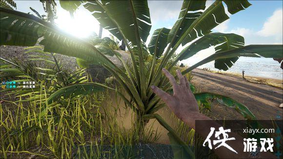 方舟生存进化孤岛独狼1~5级进化攻略 方舟生存进化孤岛独狼1~5级进化攻略