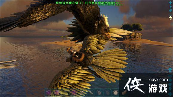 �����������ץ����ݺ�����