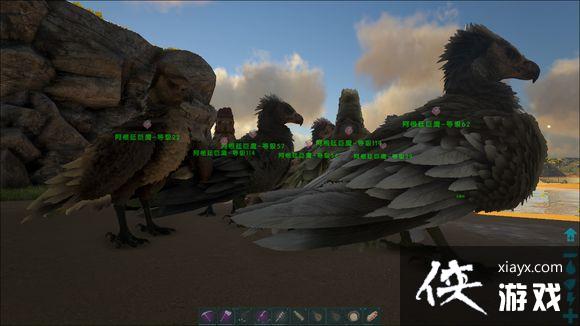 �����������ץ����ݺ�����