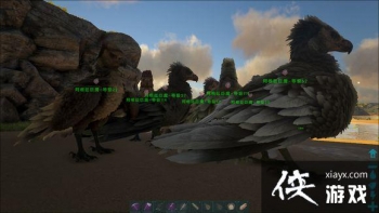 �����������ץ����ݺ�����