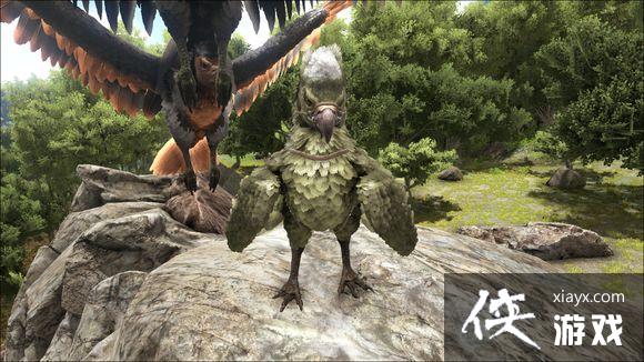 �����������ץ����ݺ�����