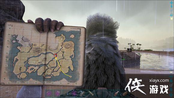 �����������ץ����ݺ�����