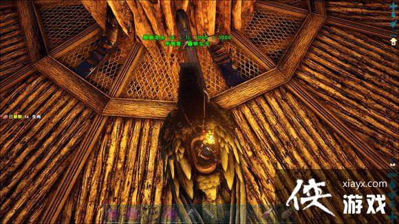 �����������ץ����ݺ�����