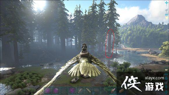 �����������ץ����ݺ�����