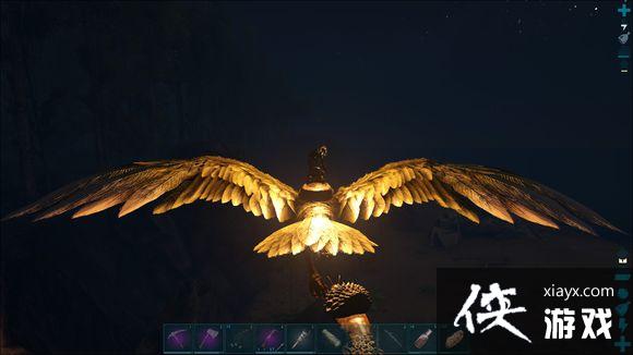 �����������ץ����ݺ�����