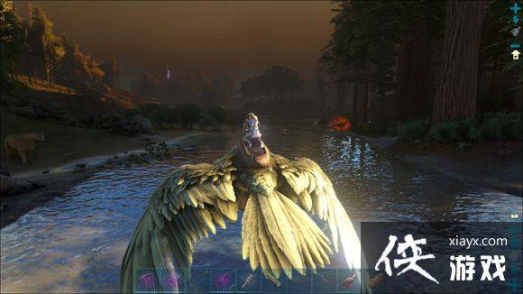 �����������ץ����ݺ�����