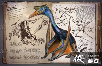 �����������ʲô����ֵǮ��