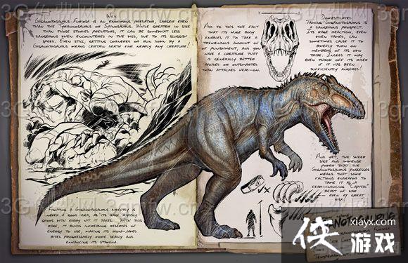 �����������ʲô����ֵǮ��