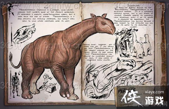 �����������ʲô����ֵǮ��