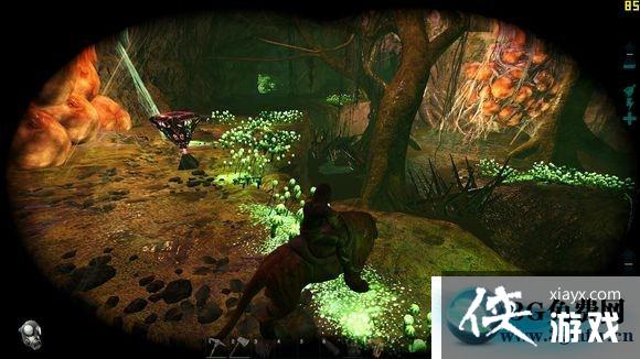 方舟生存进化毒蛇矿洞宝箱及钓鱼攻略 方舟生存进化毒蛇矿洞宝箱及钓鱼攻略