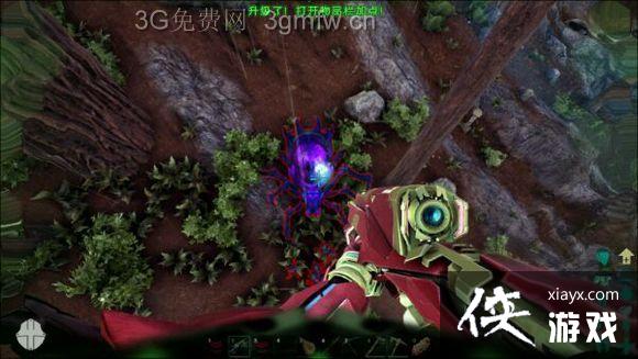 ���������������tek�Ƽ�����