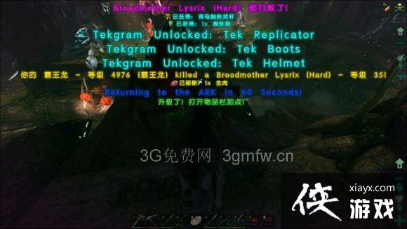 ���������������tek�Ƽ�����