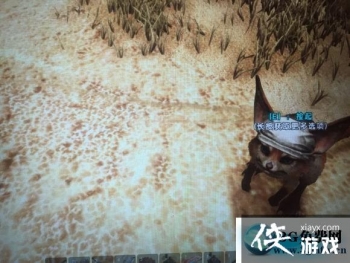 ���������������DLCʯͷ����ôץ��ʯͷ�˴��뼰��׽����