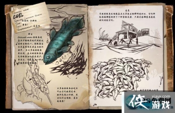 �������������ǻ����ô���� �������������ǻ������