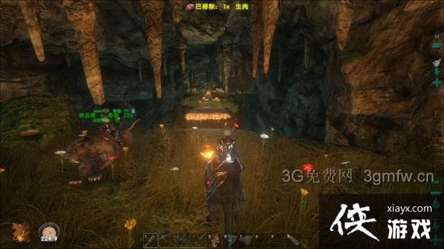 方舟生存进化核心岛矿洞图文攻略 方舟生存进化核心岛矿洞图文攻略