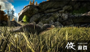 �����������˫�����������ʲô�� �����������˫������������