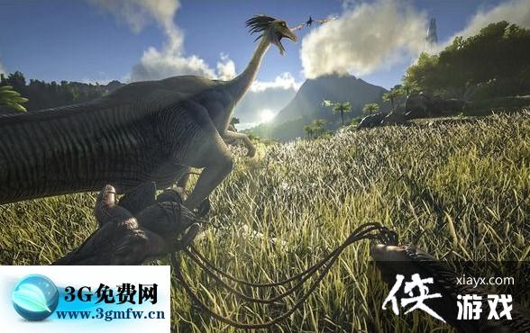 �����������ץ��������