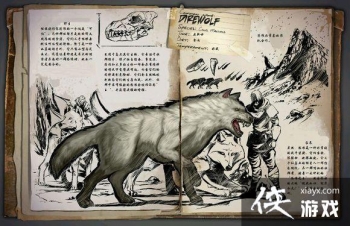 ���������������ͼ�Ľ���