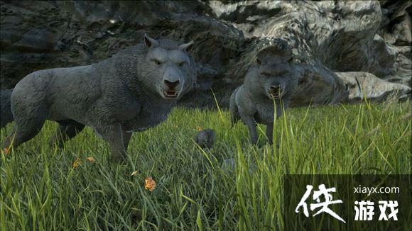 ���������������ͼ�Ľ���