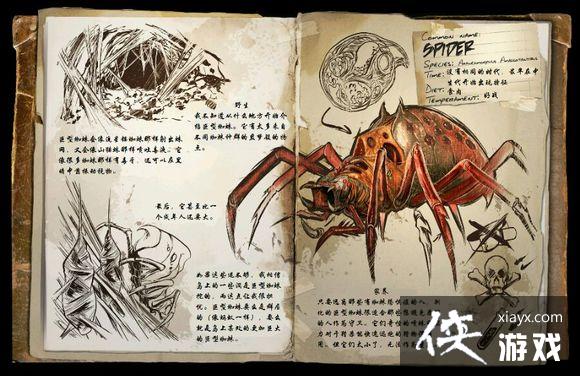 �����������֩��ͼ�Ľ���