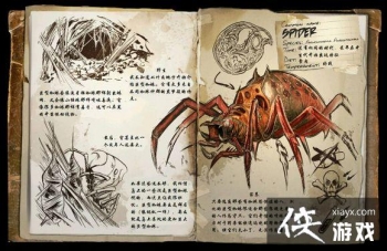 �����������֩��ͼ�Ľ���