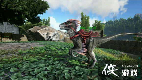 �����������Ѹ����ͼ�Ľ���