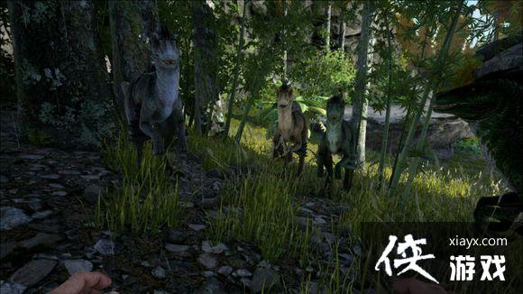 �����������Ѹ����ͼ�Ľ���