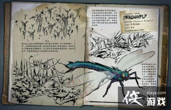 �������������������ͼ�Ľ���